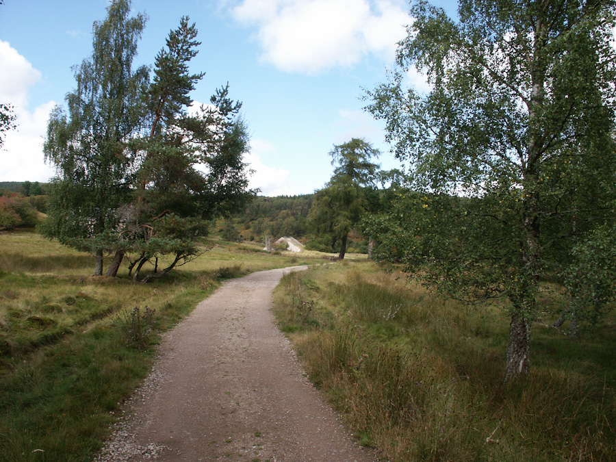 Sluggan Bridge over River Dulnain